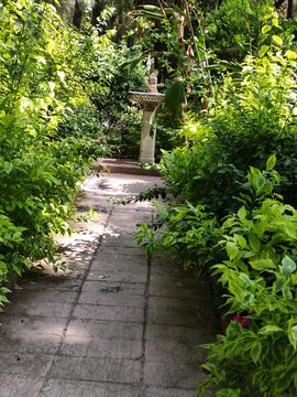 They can have gardens, parks and trees in them.puedan contar con jardines, parques y &aacute;rboles en ellas.(9833