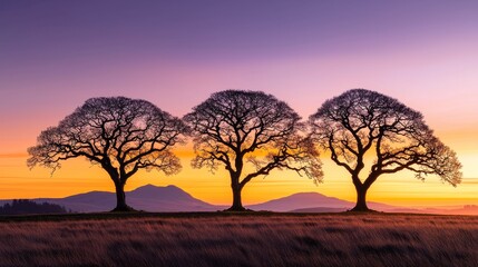 Fototapeta premium Leafless trees in a twilight landscape, sky blending orange and purple, detailed branches with soft evening glow, peaceful and serene natural scene