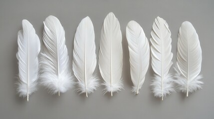 Naklejka premium Elegant White Feathers Displayed Softly in an Arranged Line, Creating a Light and Airy Aesthetic Perfect for Various Creative Projects