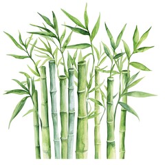 Obraz premium Lush Green Bamboo Forest Watercolor Painting Asian Plants Nature Botanical Illustration