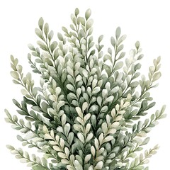 Obraz premium Lush Green Greenery Watercolor Botanical Illustration Foliage Leaves Branches Plant