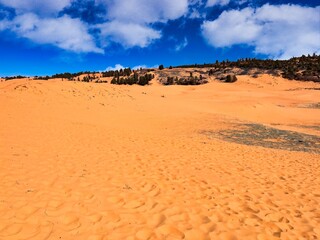 Spring Day at Coral Pink Sand Dunes State Park Near Kanab Utah.