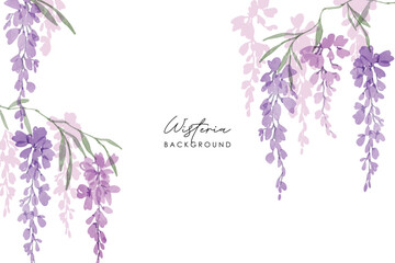 Watercolor of wisteria, isolated on a white background. Floral frame. Watercolor Pink and purple wisteria illustration isolated on a white background.