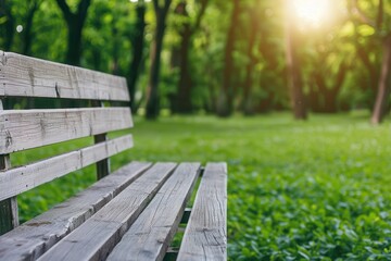 Natural living respects eco and resources. Wooden bench in a sunlit park