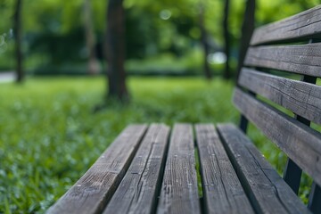 Fototapeta premium Natural living respects eco and resources. Wooden bench in a green park setting