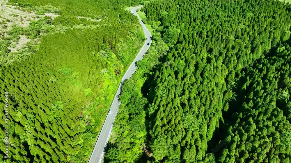 Poster 道路、自動車、空撮、風景、景色、森林、自然、峠道、エコロジー、交通、クルマ、ドローン、俯瞰、ドライブ、運転、旅行、観光、レンタカー、ツーリング、グリーン、ハイアングル、展望、パノラマ、鳥瞰図、上から見た、見下ろす、地平線、景観、迫力、環境、新緑、エコシステム、地球環境、環境保護、気候変動、サステナブル、SDGs、持続可能な開発目標、サステナビリティ、グリーントランスフォーメーション、GX、ESG投