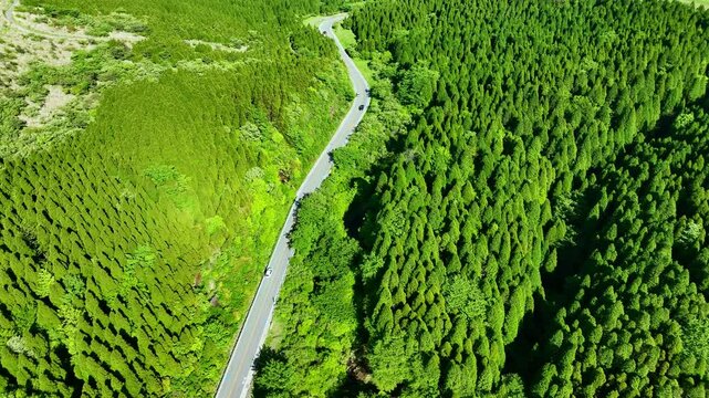 道路、自動車、空撮、風景、景色、森林、自然、峠道、エコロジー、交通、クルマ、ドローン、俯瞰、ドライブ、運転、旅行、観光、レンタカー、ツーリング、グリーン、ハイアングル、展望、パノラマ、鳥瞰図、上から見た、見下ろす、地平線、景観、迫力、環境、新緑、エコシステム、地球環境、環境保護、気候変動、サステナブル、SDGs、持続可能な開発目標、サステナビリティ、グリーントランスフォーメーション、GX、ESG投