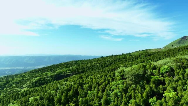 森林、空撮、風景、景色、自然、環境、ドローン、SDGs、サステナビリティ、成長、林業、観光、旅行、アウトドア、俯瞰、ハイアングル、展望、パノラマ、鳥瞰図、上から見た、見下ろす、地平線、景観、迫力、新緑、グリーン、エコロジー、エコシステム、地球環境、環境保護、気候変動、サステナブル、持続可能な開発目標、グリーントランスフォーメーション、GX、SX、ESG投資、CSR、TCFD、高原、青空、山林、山地