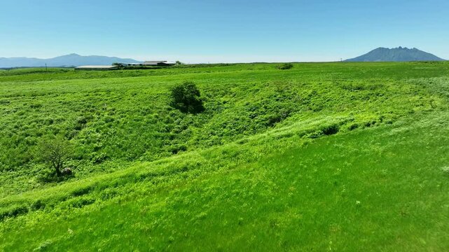 空撮、風景、景色、牧場、草原、自然、環境、青空、新緑、ドローン、パノラマ、展望、スピード、繁栄、晴れ、地平線、景観、迫力、俯瞰、ハイアングル、大地、グリーン、エコロジー、エコシステム、地球環境、環境保護、気候変動、サステナブル、SDGs、持続可能な開発目標、サステナビリティ、グリーントランスフォーメーション、GX、SX、ESG投資、CSR、TCFD、高原、農業、牧草地、大自然、絶景、平野、平原、前