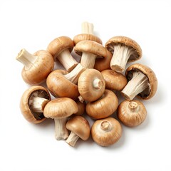 crimini mushrooms isolated on a white background for web, print or creative projects