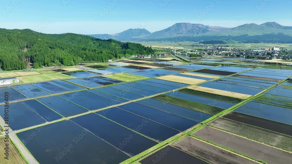 Aufkleber 水田、田んぼ、田園、空撮、風景、景色、田畑、田舎、ドローン、社会、都市、自然、環境、稲作、農業、農家、農地、見下ろす、飛行、俯瞰、青空、畦道、農道、土地、平野、ハイアングル、展望、パノラマ、鳥瞰図、上から見た、地平線、景観、迫力、行政、産業、春、夏、日本、盆地、野山、屋外、旅行、観光、晴れ、収穫、灌漑、耕作地、エコロジー、遠近感、街