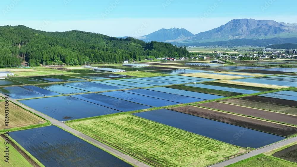 Aufkleber 水田、田んぼ、田園、空撮、風景、景色、田畑、田舎、ドローン、社会、都市、自然、環境、稲作、農業、農家、農地、見下ろす、飛行、俯瞰、青空、畦道、農道、土地、平野、ハイアングル、展望、パノラマ、鳥瞰図、上から見た、地平線、景観、迫力、行政、産業、春、夏、日本、盆地、野山、屋外、旅行、観光、晴れ、収穫、灌漑、耕作地、エコロジー、遠近感、街