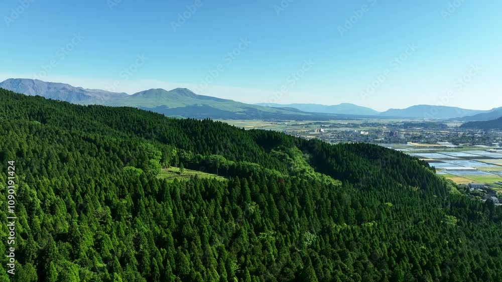 Poster 森林、空撮、風景、景色、自然、環境、ドローン、SDGs、サステナビリティ、山林、樹木、グリーン、農村、林業、農業、裾野、杉林、原生林、樹海、俯瞰、ハイアングル、展望、パノラマ、鳥瞰図、上から見た、見下ろす、景観、迫力、新緑、大地、エコロジー、エコシステム、地球環境、環境保護、気候変動、サステナブル、持続可能な開発目標、グリーンカーボン、レジリエンス、木々、植林、植物、飛行、材木、地球、旅行、観光、