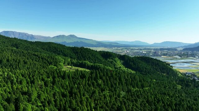 森林、空撮、風景、景色、自然、環境、ドローン、SDGs、サステナビリティ、山林、樹木、グリーン、農村、林業、農業、裾野、杉林、原生林、樹海、俯瞰、ハイアングル、展望、パノラマ、鳥瞰図、上から見た、見下ろす、景観、迫力、新緑、大地、エコロジー、エコシステム、地球環境、環境保護、気候変動、サステナブル、持続可能な開発目標、グリーンカーボン、レジリエンス、木々、植林、植物、飛行、材木、地球、旅行、観光、