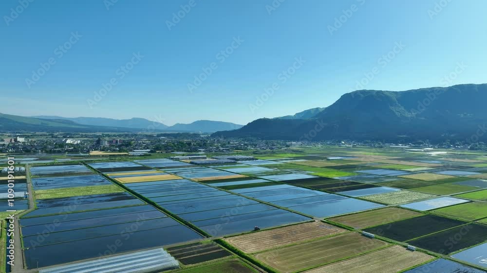 Aufkleber 田園、空撮、水田、田んぼ、田畑、風景、景色、農家、農地、ドローン、農村、ビニールハウス、SDGs、サステナブル、サステナビリティ、盆地、山間部、平野、農業、俯瞰、ハイアングル、展望、パノラマ、鳥瞰図、上から見た、見下ろす、地平線、景観、迫力、環境、自然、新緑、大地、グリーン、エコロジー、エコシステム、地球環境、持続可能な開発目標、栽培、耕作地、開墾、灌漑、畦道、農道、田舎、日本、地方、青空、山地、