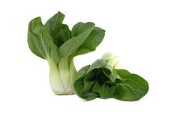 Fresh Bok Choy Isolated on White Background for Healthy Eating