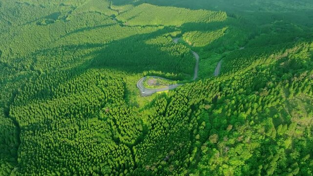 空撮、山岳、風景、景色、森林、高原、尾根、山嶺、ドローン、自然、環境、登山、頂上、頂点、高地、青空、地平線、俯瞰、ハイアングル、展望、パノラマ、鳥瞰図、上から見た、見下ろす、景観、迫力、絶景、ダイナミック、新緑、大地、グリーン、エコロジー、エコシステム、地球環境、環境保護、気候変動、サステナブル、SDGs、持続可能な開発目標、サステナビリティ、山林、山地、トレイルランニング、探検、植物、朝、トレイ