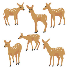 Fototapeta premium vector drawing set of animals, sika deer, isolated at white background
