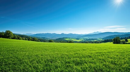 Breathtaking Panoramic View of Lush Green Field Beneath a Clear Blue Sky, with Mountains and Serene Landscape in the Background on a Sunny Day