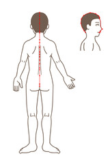 鍼灸の経穴、督脈、ツボのイラスト
