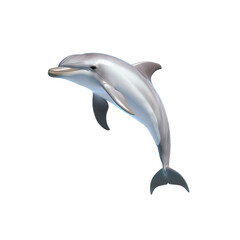 Obraz premium Bottlenose Dolphin Leaping Gracefully Through the Ocean