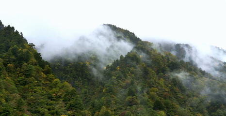 Beautiful view of the changing colors of the forest and mist on the Kurobe Gorge Railway in autumn, Kurobe, Toyama, Japan.