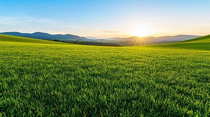 Obraz premium Golden meadows glowing softly at dawn, with distant hills fading into the horizon, showcasing the peaceful start of a warm summer day