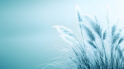 Fototapeta premium A serene image of soft, feathery grass against a tranquil blue background, evoking calmness and nature's beauty.