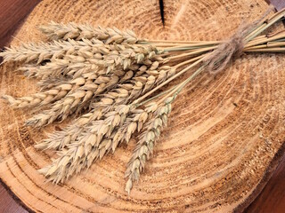 A small bunch of wheat sprouts on a wooden round cutout and a wooden table. Sign of the autumn harvest