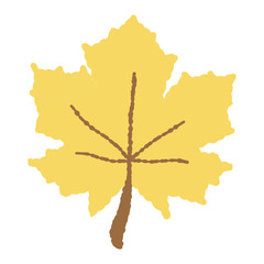 leaf isolated on white background, autumn leaf