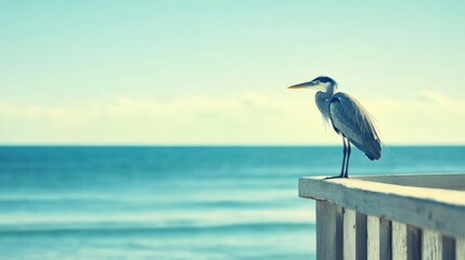 A lone heron stands on a wooden railing overlooking the ocean, with a blue sky and calm waters in the background.