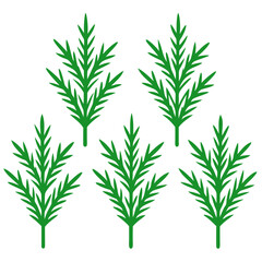 Fototapeta premium dill isolated on white