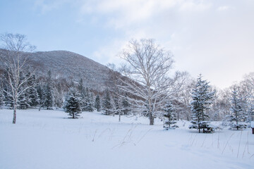 雪化粧の白樺峠