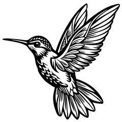 hummingbird flyng silhouette