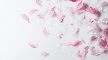Fototapeta premium Delicate Feathers and Bubbles on Soft Background