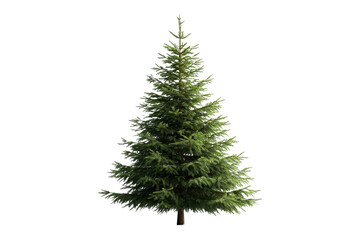 Fototapeta premium Isolated christmas tree in white background for holiday decor seasonal nature front view