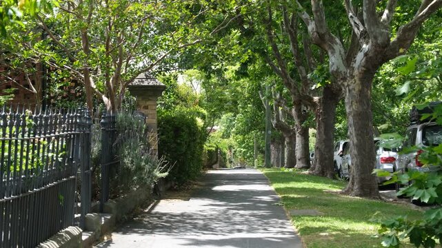  A leafy pedestrian sidewalk on a suburban street lined with front yard garden fences of Victorian-era homes. An inner-suburb sidewalk covered by a lush tree canopy in Kensington, Melbourne, Australia
