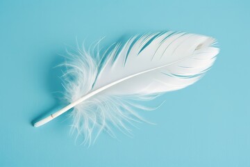Obraz premium White soft feather on a plain light-blue background. AI generative