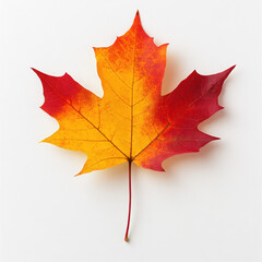 Fototapeta premium Vibrant autumn leaf showcasing gradient of red and orange hues, symbolizing beauty of fall. Perfect for seasonal themes and nature inspired designs