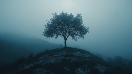 A lonely tree on cloudy day