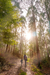 Fototapeta premium A woman and a child are walking through a forest
