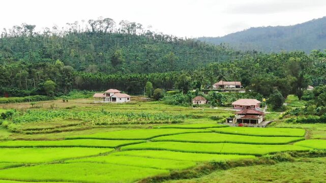 Traditional Indian village house surrounded by green grass and beatiful cloudy blue sky. Village landscape.