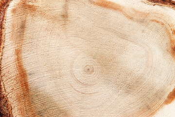 Slice of wood timber with juniper tree rings as natural geometric pattern, abstract nature...