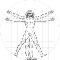 Vitruvian man vector leonardo...