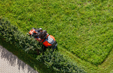 Fototapeta premium A person operating a lawn mower in a park, cutting the grass.