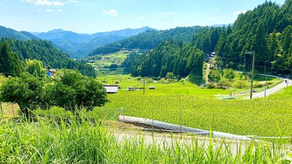 千枚田
