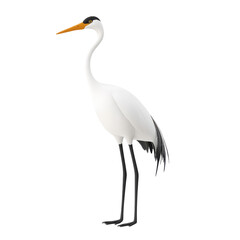 Obraz premium Elegant White Bird with Long Neck and Stilt-Like Legs, Displaying Graceful Posture Against a Soft White Background for Nature and Wildlife Projects
