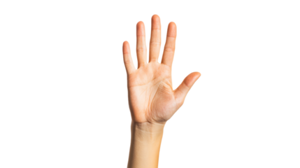 A hand with fingers extended on transparent background 