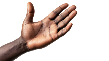A hand in a relaxed position with the palm facing up, fingers slightly curled as if inviting someone to come closer, isolated on a pure white background


