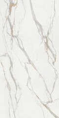Fototapeta premium Texture and marble design background
